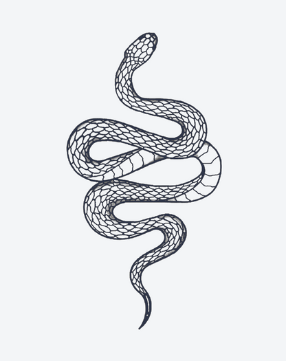 Serpent's Coil