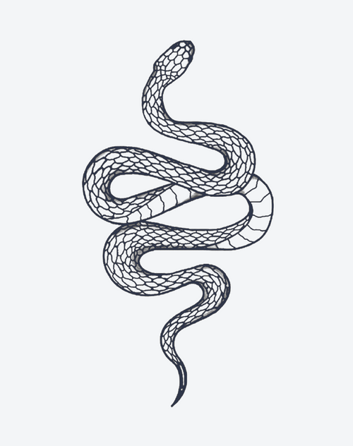 Serpent's Coil