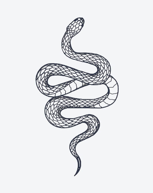 Serpent's Coil