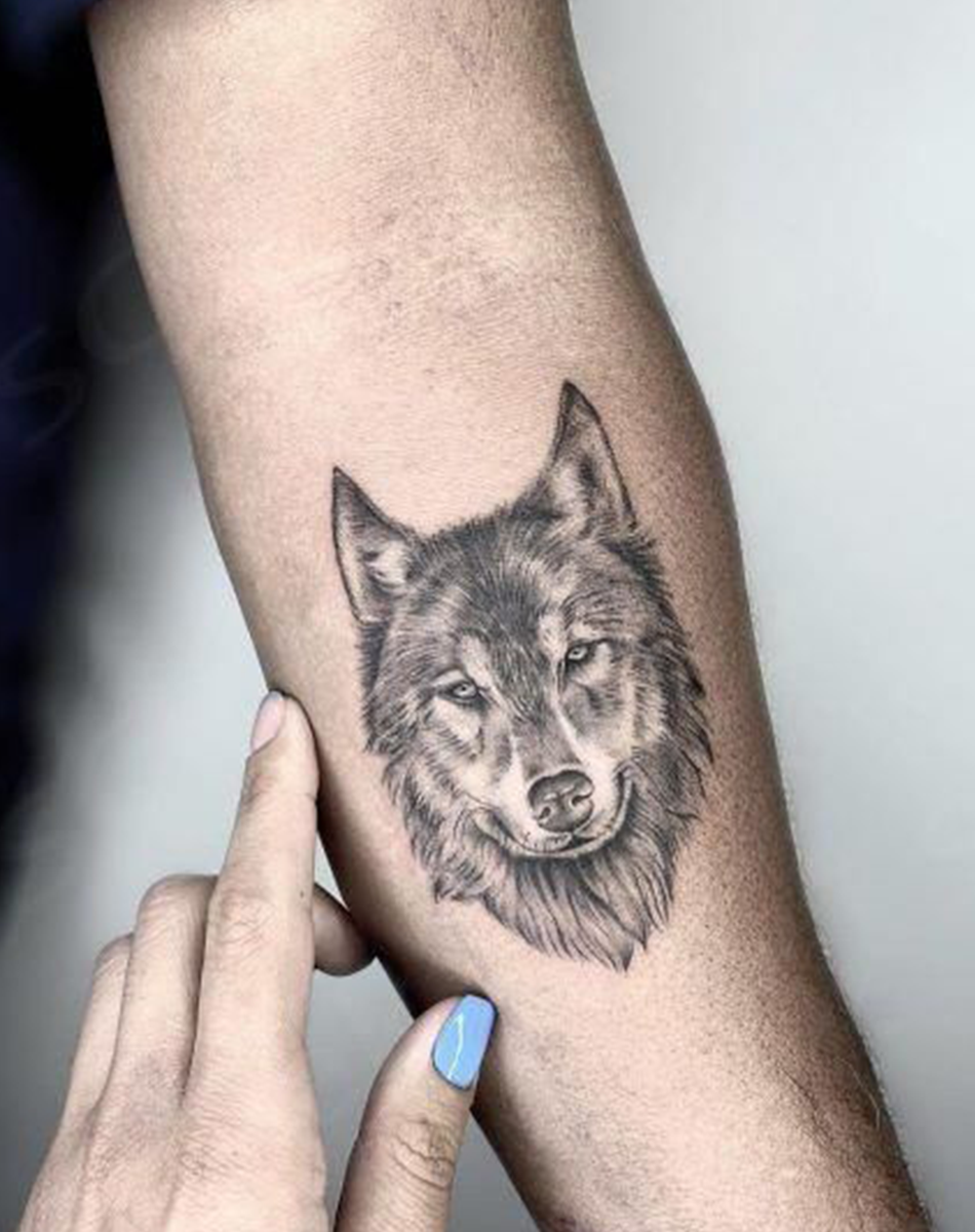 Kings of the Wild（5 pieces）