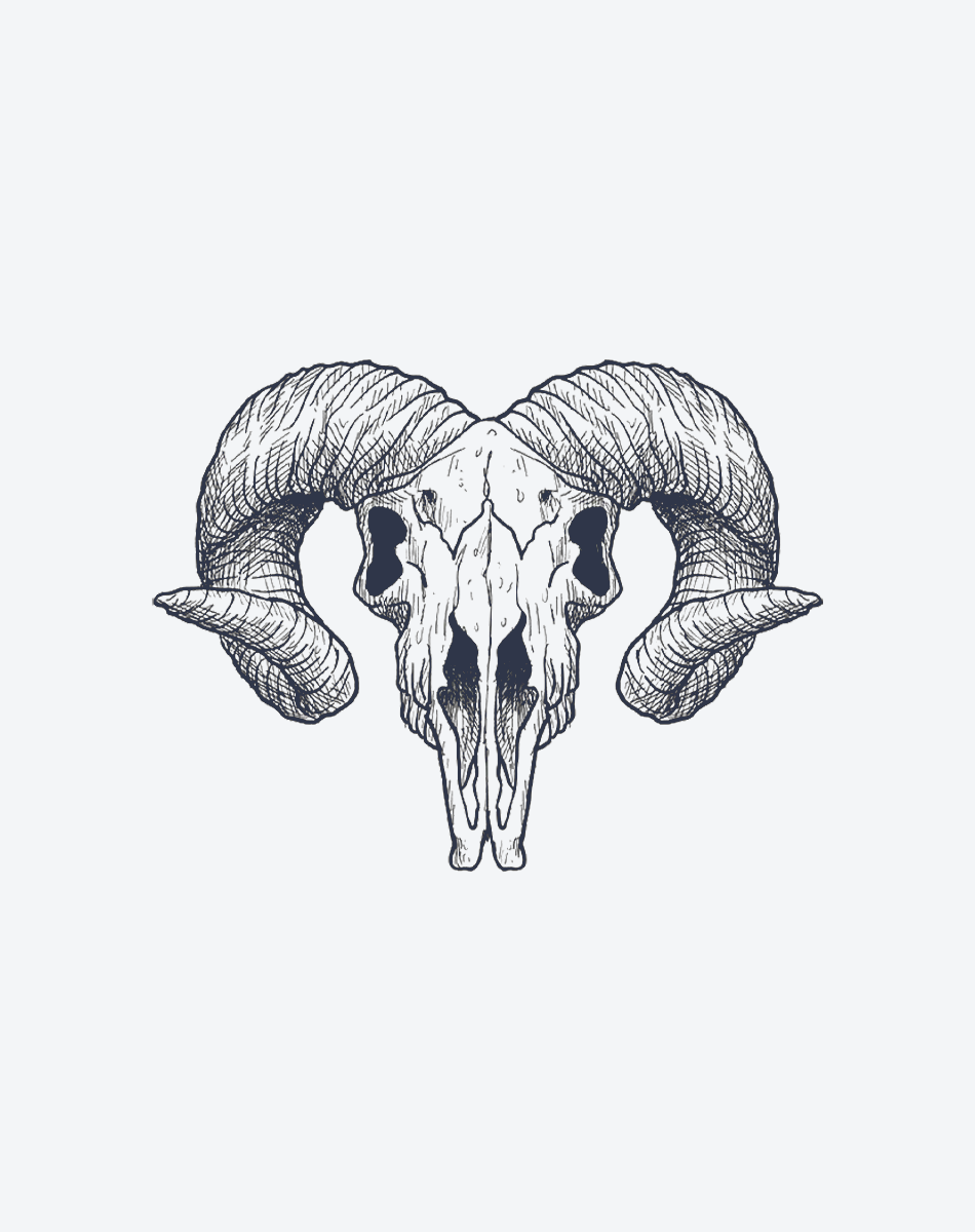 Ram Skull Resurgence