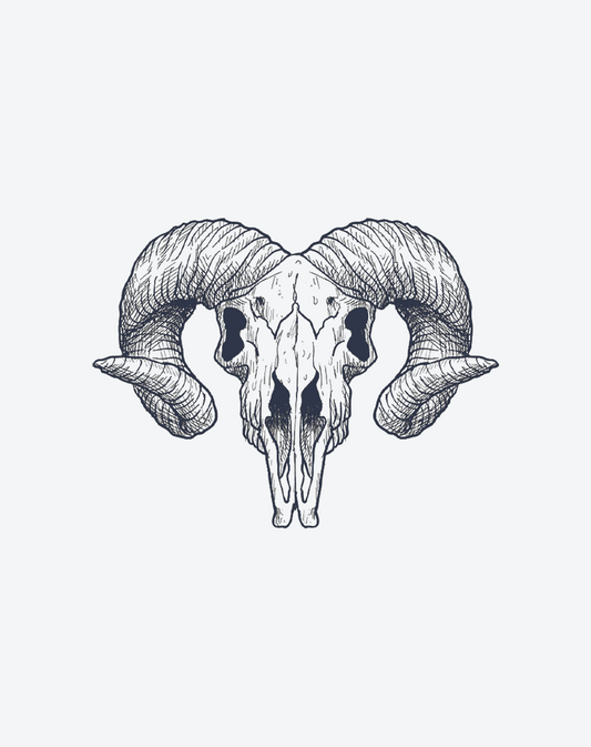 Ram Skull Resurgence