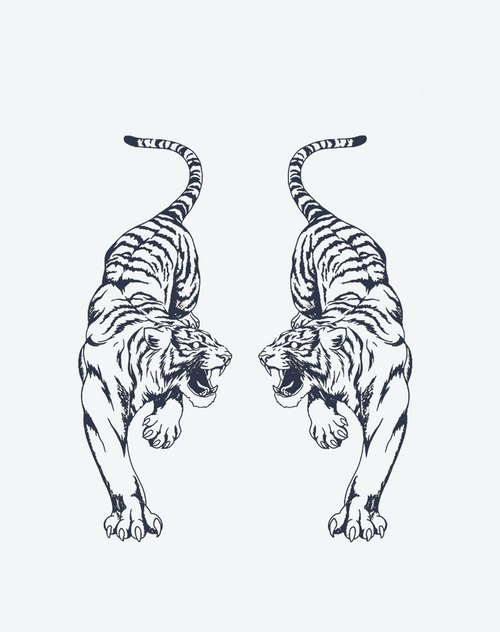 Tiger's Roar