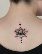 Lotus flower