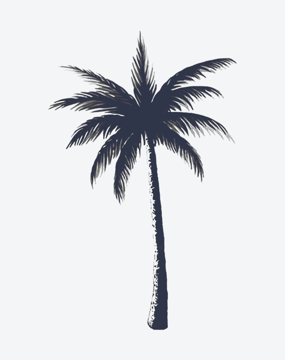 Coconut tree