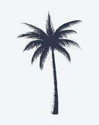 Coconut tree