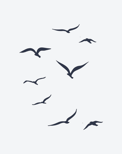 Seagull