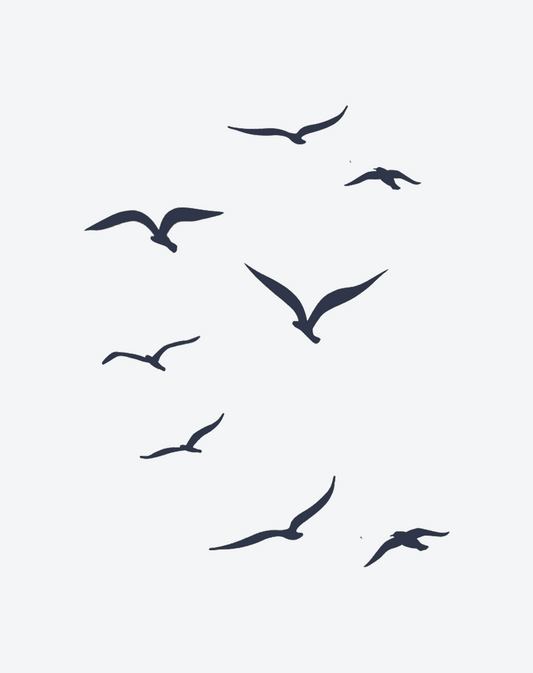 Seagull