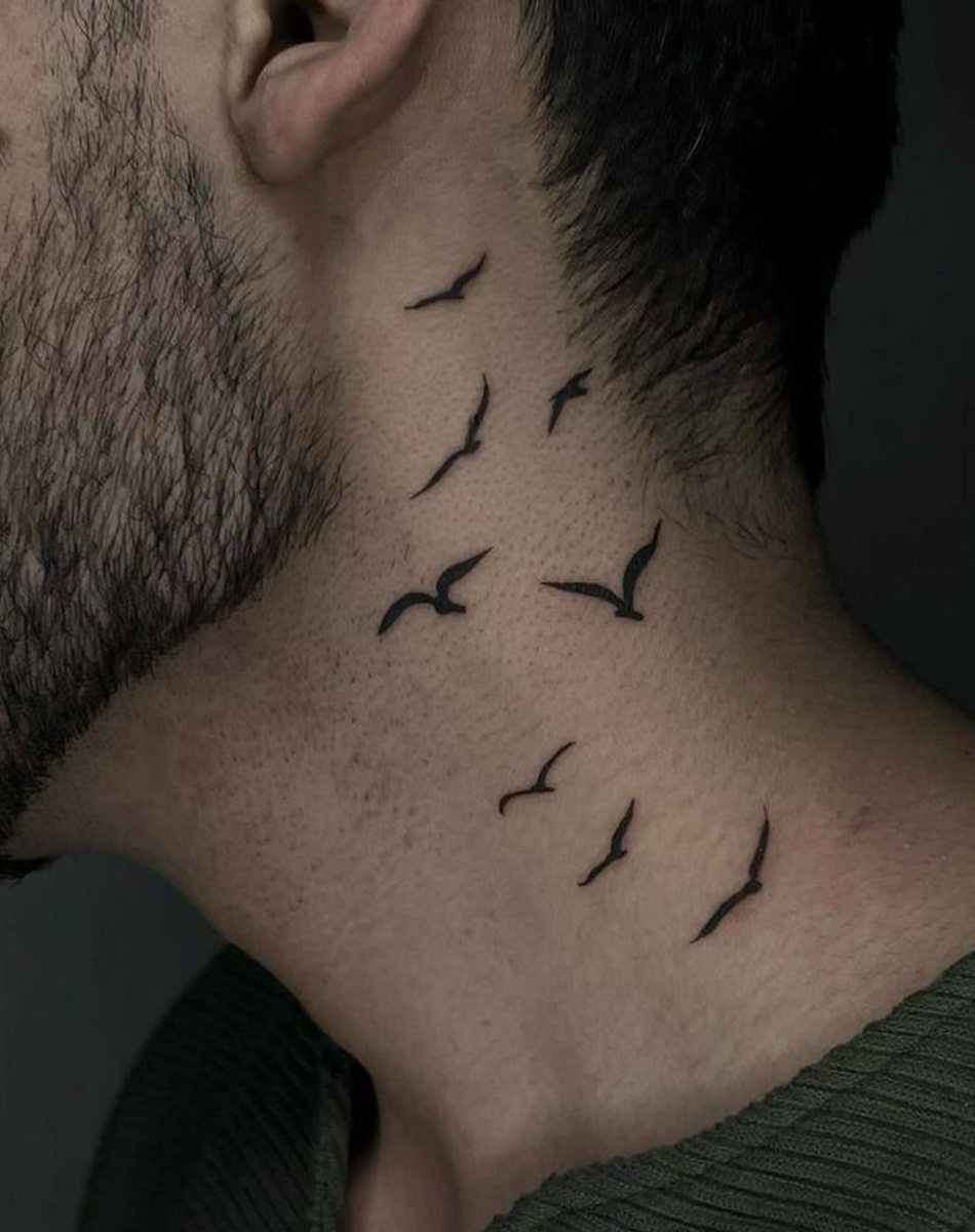 Seagull