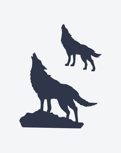 Male wolf