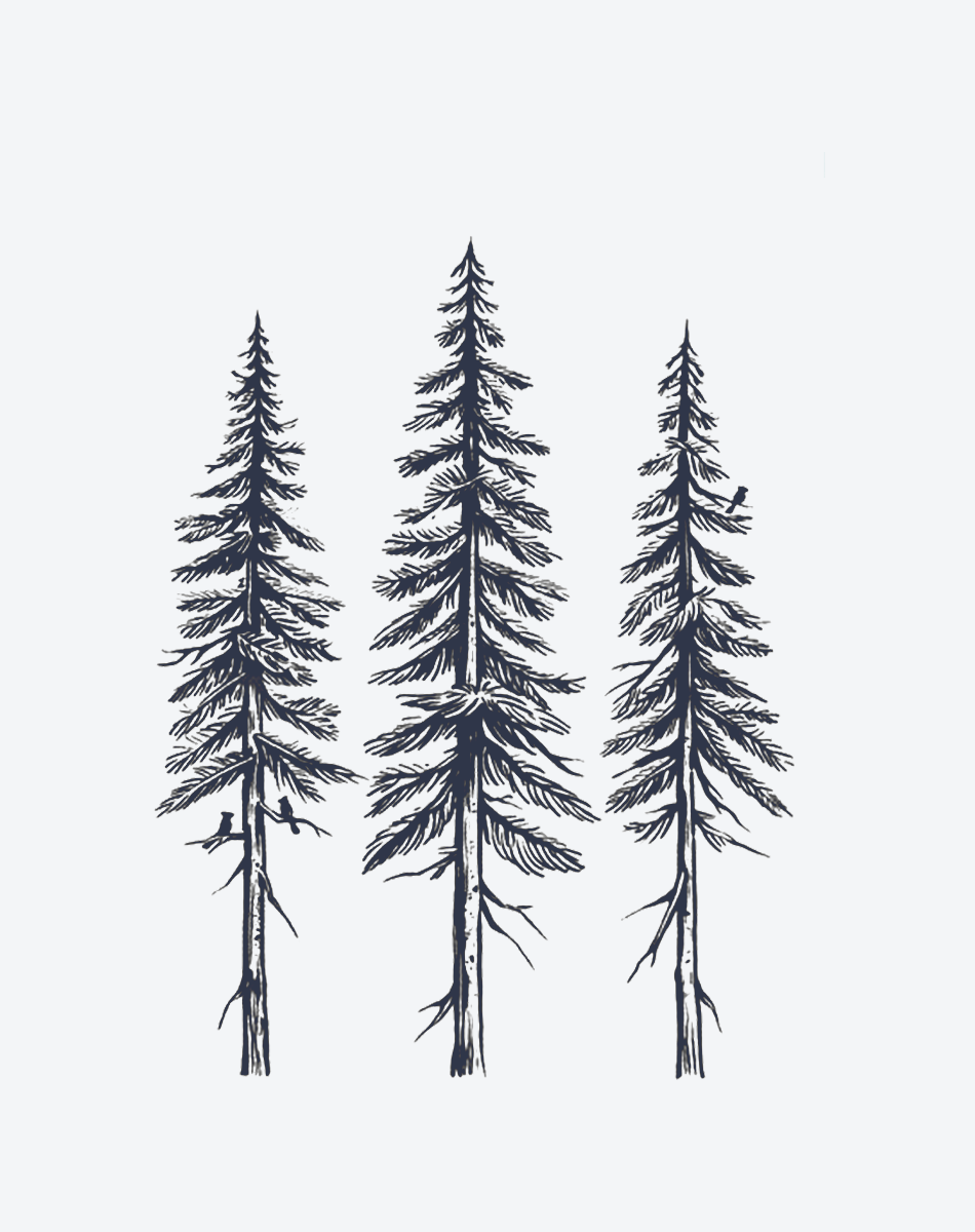 Evergreen Trio