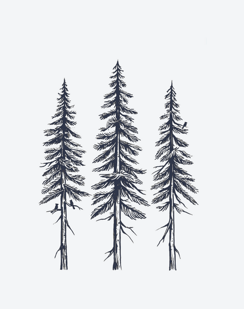 Evergreen Trio