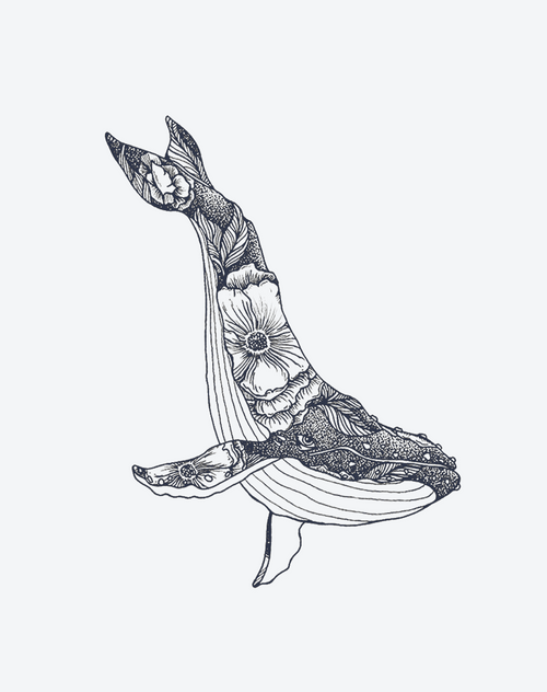 Whale