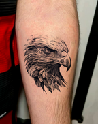 eagle