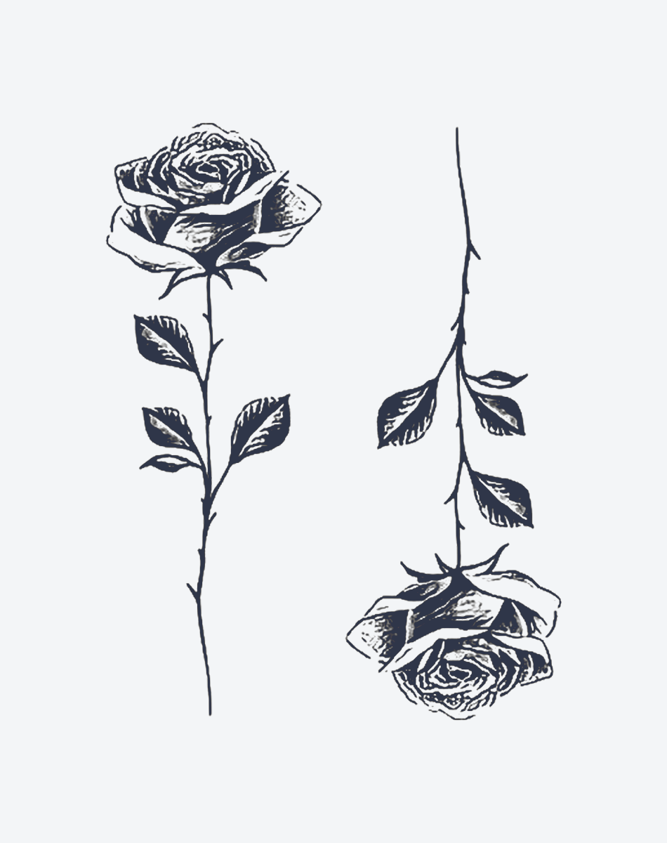 薔薇