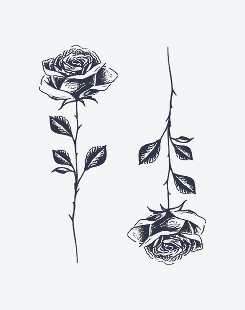 薔薇