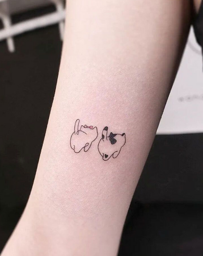 Cute cat