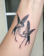 Vereinigte Schwalben