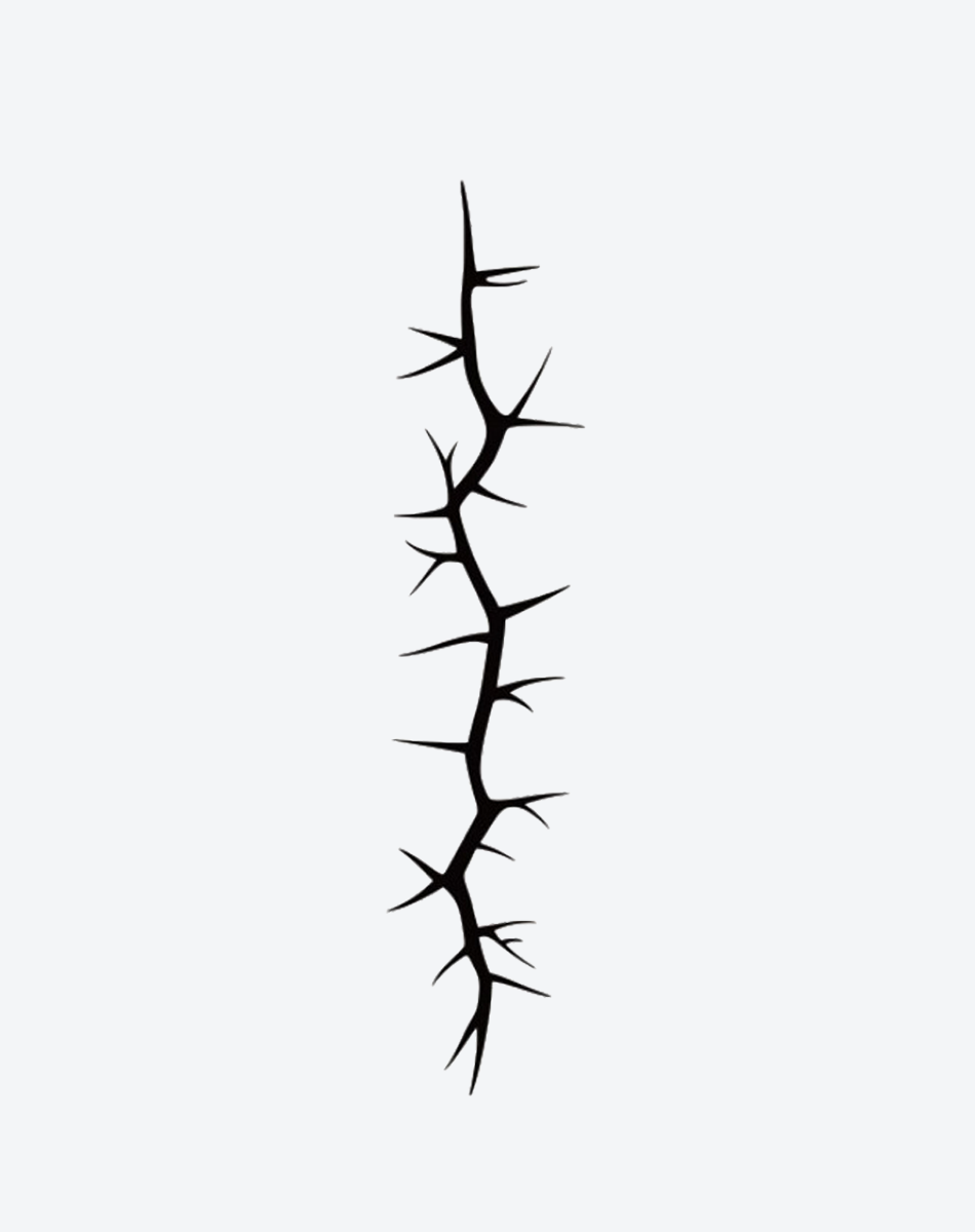 Wild Thorn