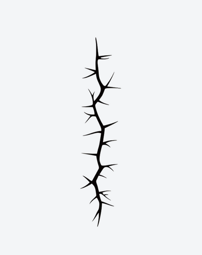 Wild Thorn
