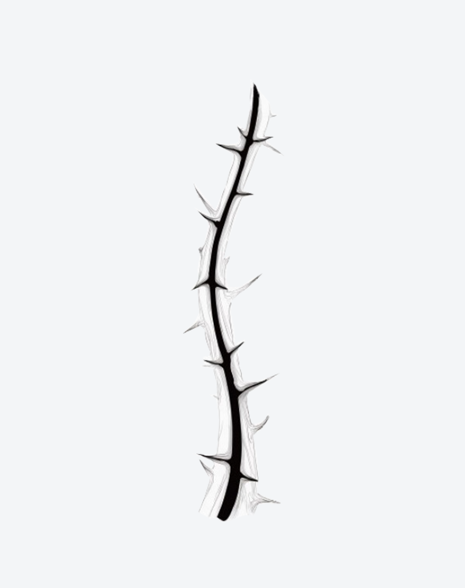 Shadow Thorn