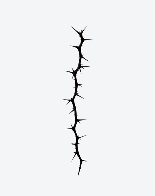 Razor Thorn