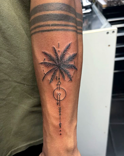 Coconut tree