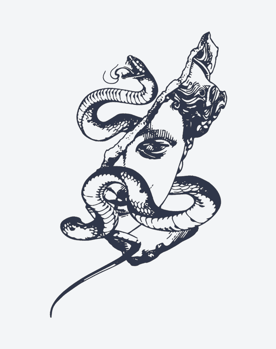 Medusa Snake Myth