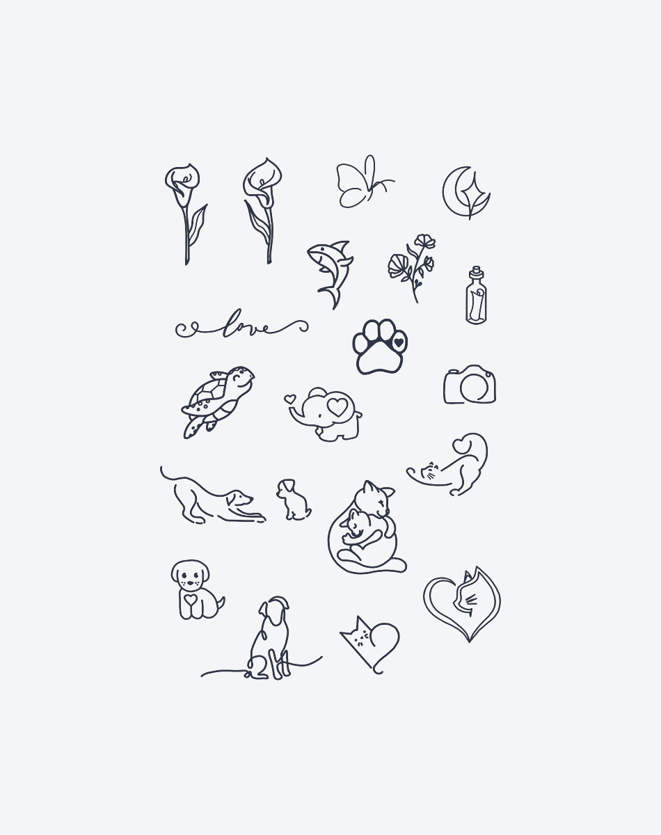 Love & Companionship