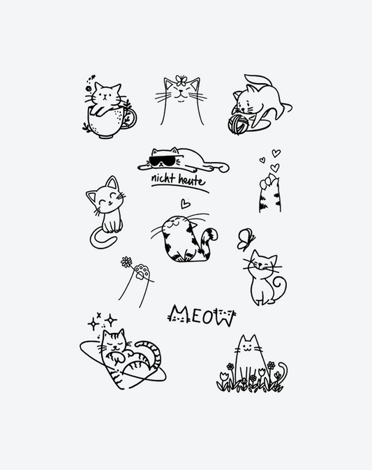 Meow Moments