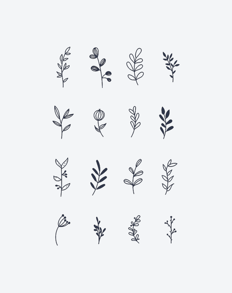 Forest Fragments