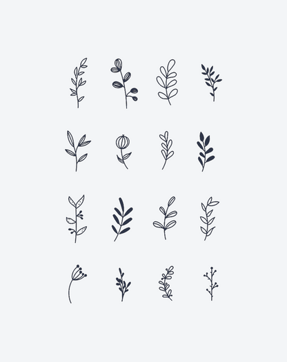 Forest Fragments