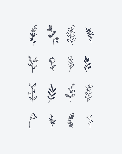 Forest Fragments
