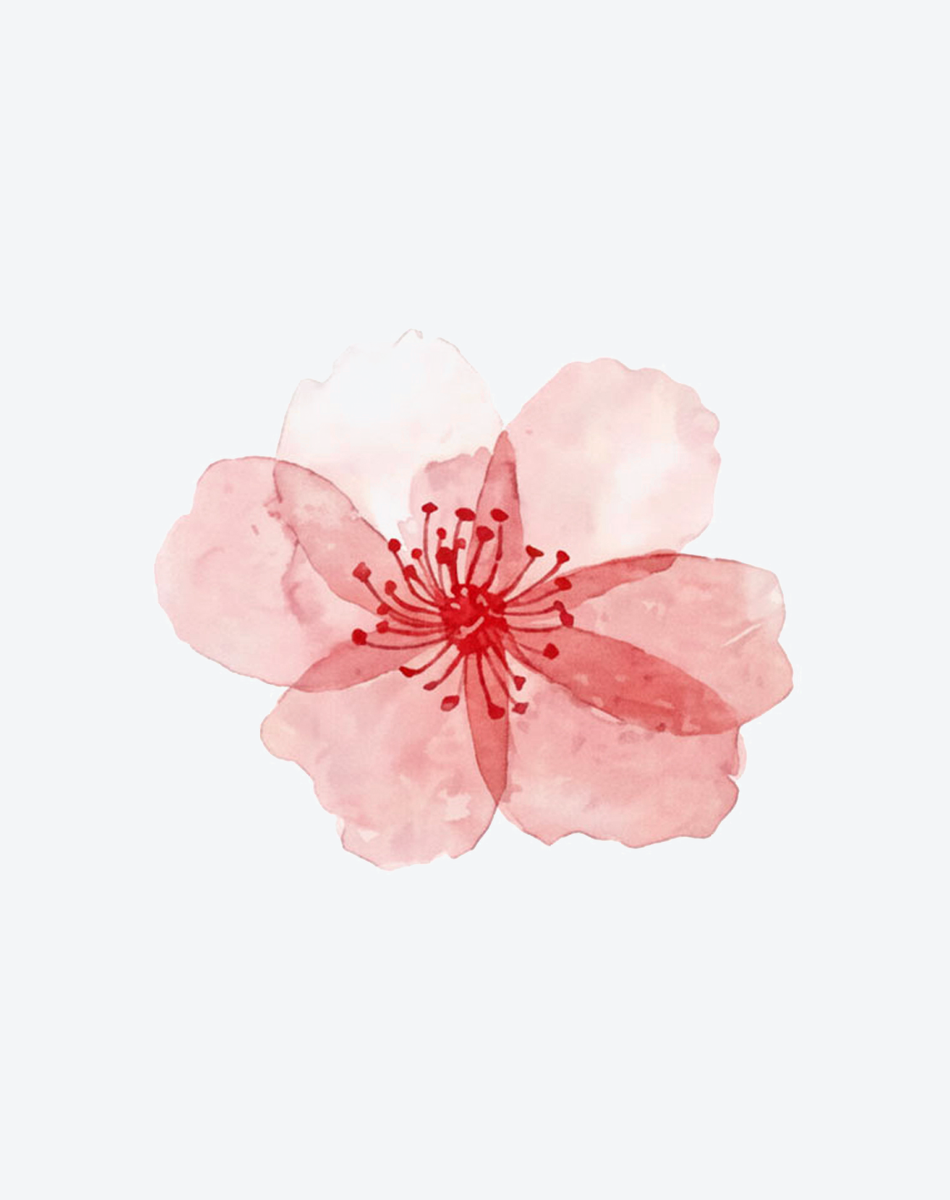 Cherry Blossom Blush Tattoo Romantic Design