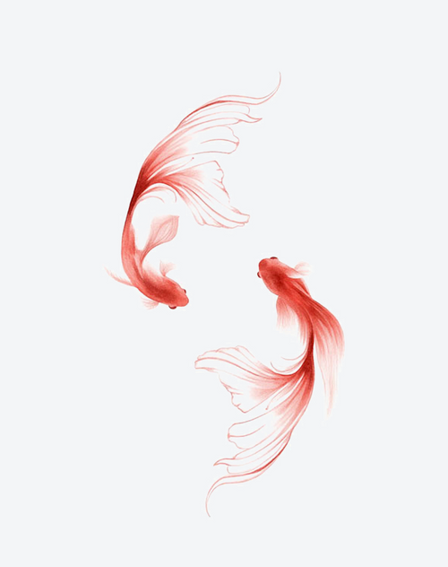 Dancing Koi Tattoo Artistic Design