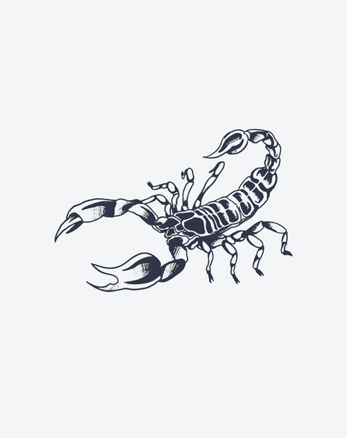 Mighty scorpion