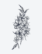 Schönheit der Natur