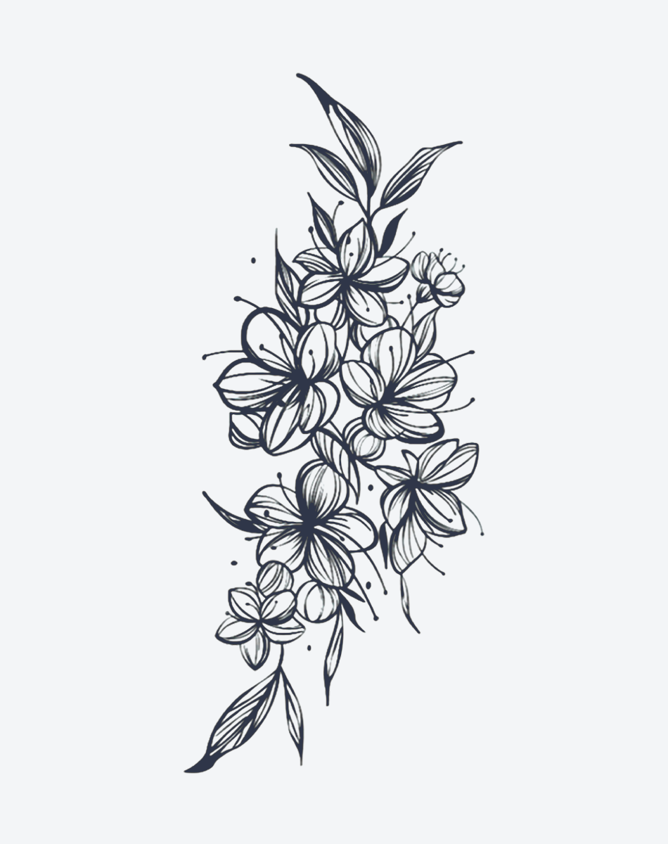 Schönheit der Natur