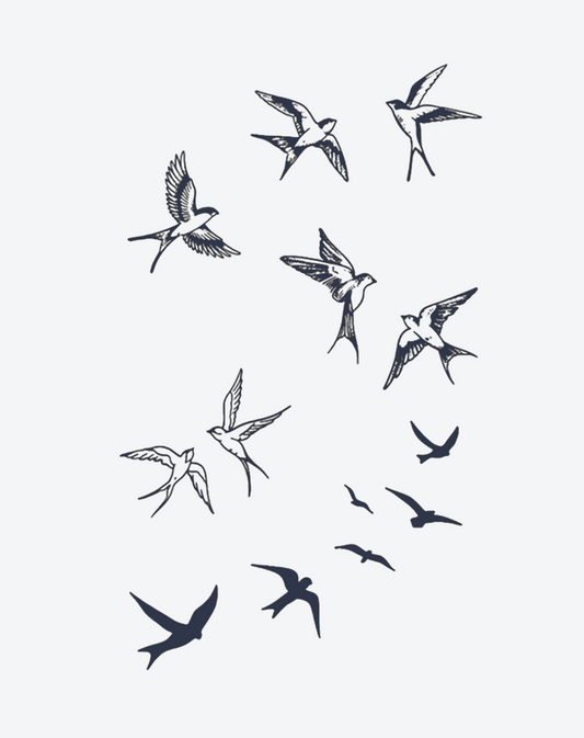Swallow Spirit