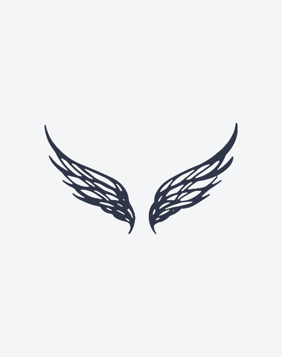 Freedom Flight Wings