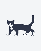 Elegant Black Cat Art