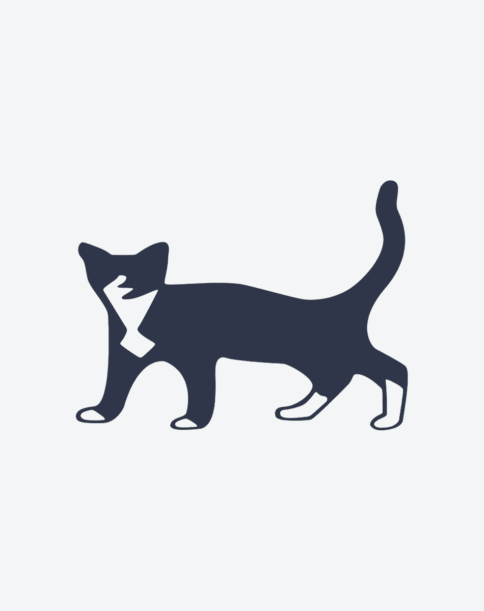 Elegant Black Cat Art