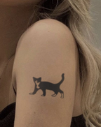 Elegant Black Cat Art