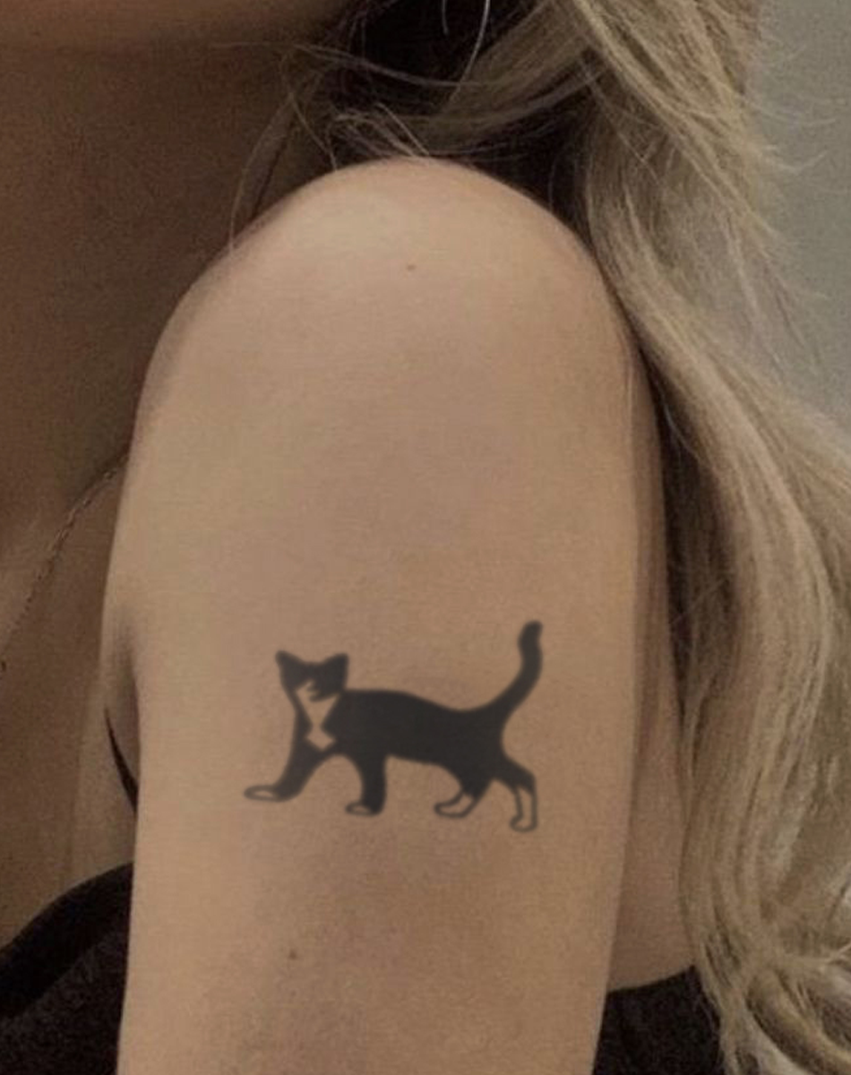 Elegant Black Cat Art