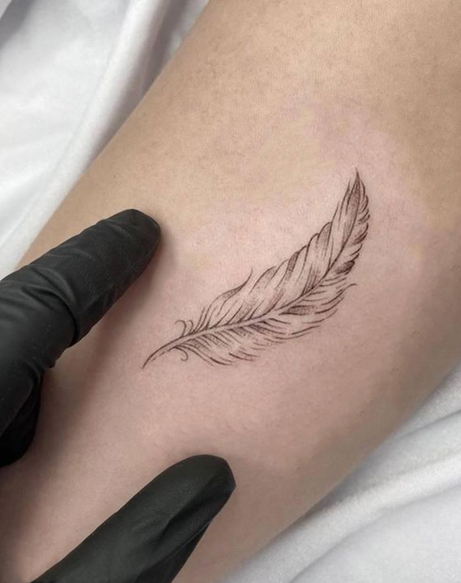 Little Feather For Light Living