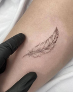 Freedom Spirit Feather