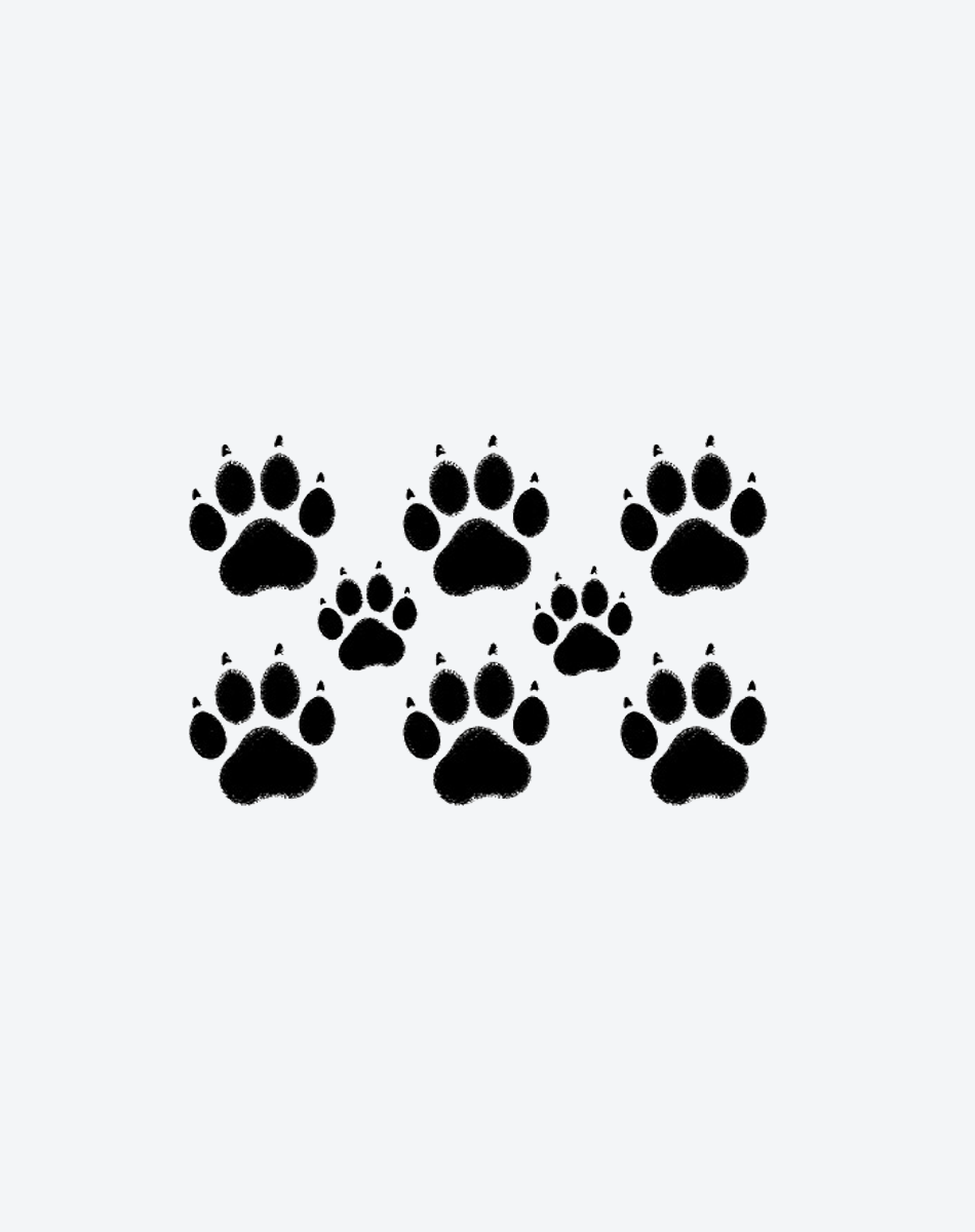 Fierce Paws
