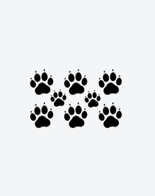 Fierce Paws