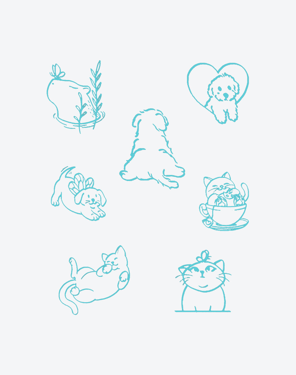 パウシティブバイブス