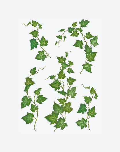 Emerald Ivy Vine